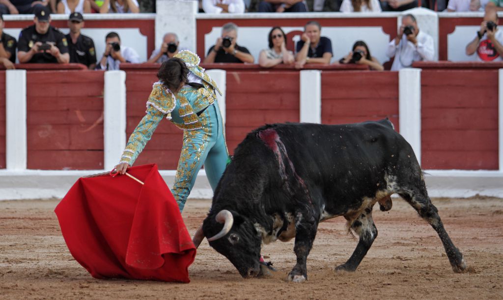 Zamora - Corrida de toros - Viernes 29 de junio de 2018