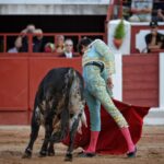 Zamora - Corrida de toros - Viernes 29 de junio de 2018