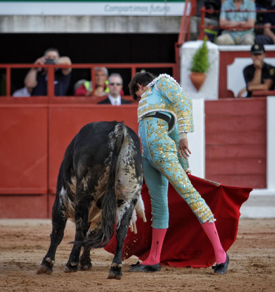 Zamora - Corrida de toros - Viernes 29 de junio de 2018