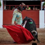 Zamora - Corrida de toros - Viernes 29 de junio de 2018