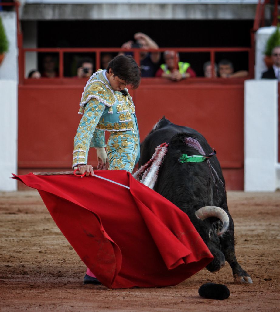 Zamora - Corrida de toros - Viernes 29 de junio de 2018