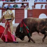 Zamora - Corrida de toros - Viernes 29 de junio de 2018