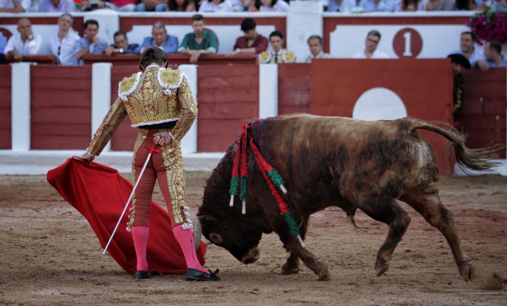 Zamora - Corrida de toros - Viernes 29 de junio de 2018