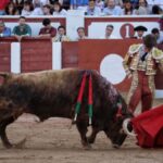 Zamora - Corrida de toros - Viernes 29 de junio de 2018
