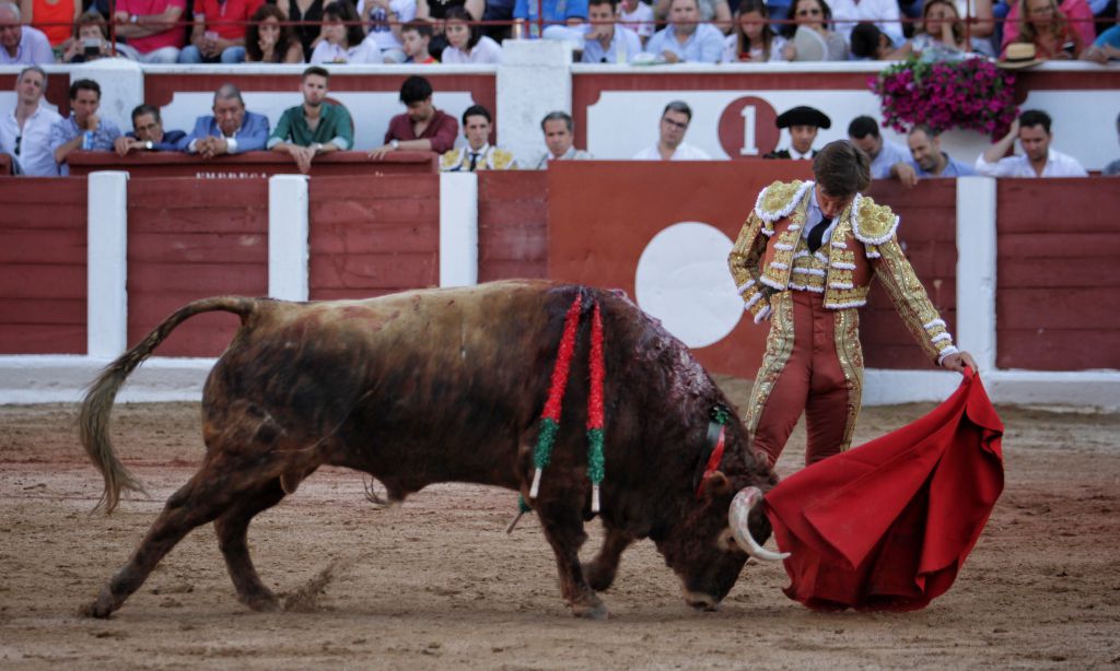 Zamora - Corrida de toros - Viernes 29 de junio de 2018
