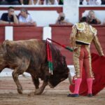 Zamora - Corrida de toros - Viernes 29 de junio de 2018