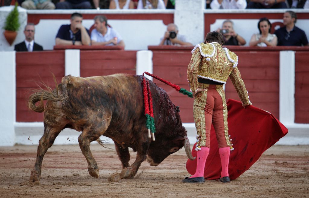 Zamora - Corrida de toros - Viernes 29 de junio de 2018