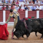 Zamora - Corrida de toros - Viernes 29 de junio de 2018