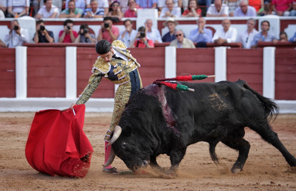Zamora - Corrida de toros - Viernes 29 de junio de 2018