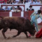 Zamora - Corrida de toros - Viernes 29 de junio de 2018