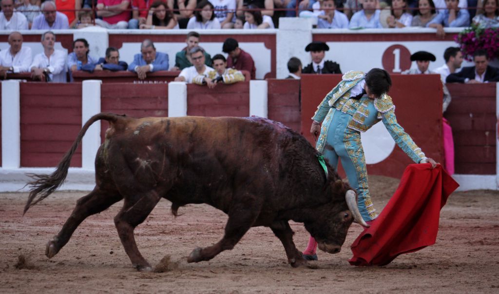 Zamora - Corrida de toros - Viernes 29 de junio de 2018