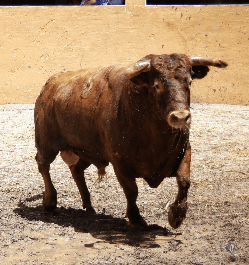 Granada - Feria del Corpus - Corrida de toros - Sorteo - Sábado 2 de junio de 2018