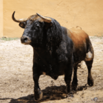 Granada - Feria del Corpus - Corrida de toros - Sorteo - Sábado 2 de junio de 2018