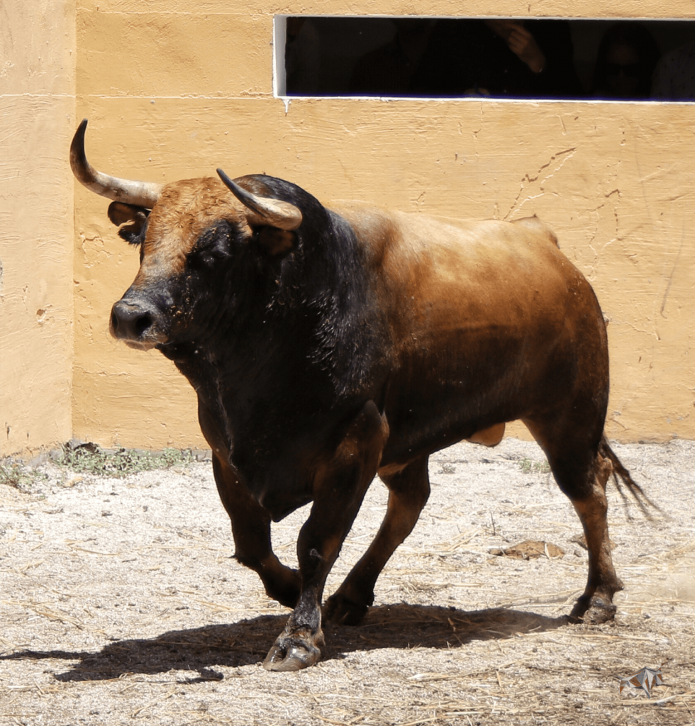 Granada - Feria del Corpus - Corrida de toros - Sorteo - Sábado 2 de junio de 2018
