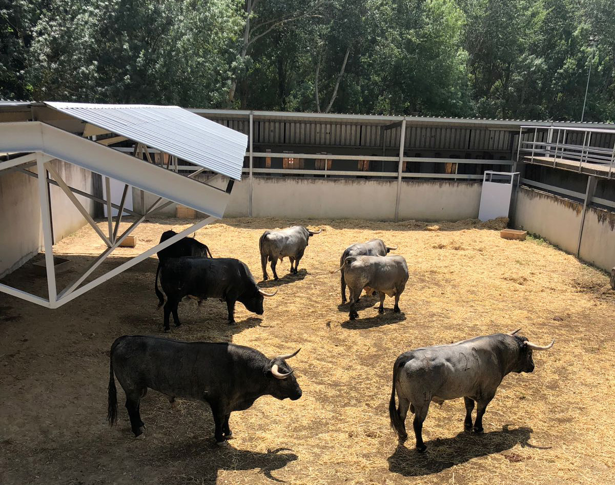 Pamplona - Toros del José Escolar para el 8 de junio de 2018