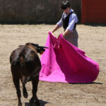 Fin de curso Fundación El Juli. 20 de junio de 2018