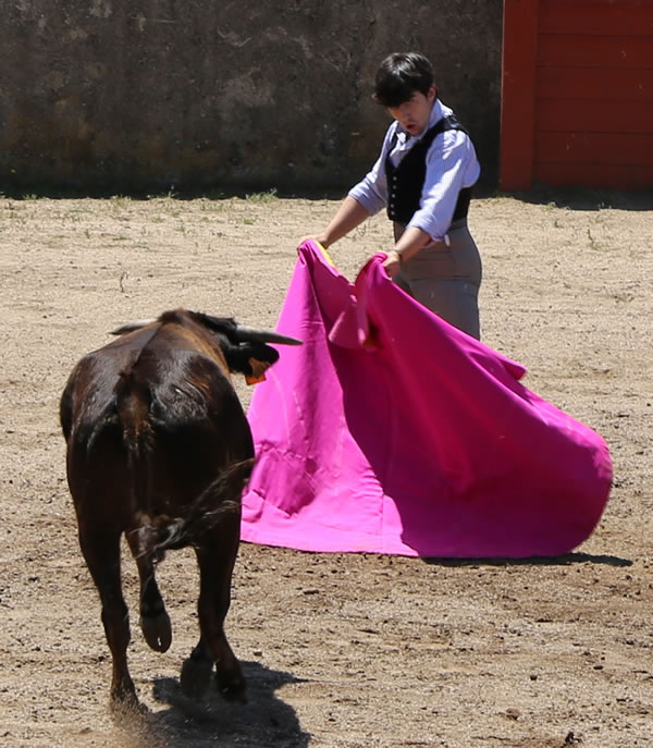 Fin de curso Fundación El Juli. 20 de junio de 2018