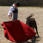 Fin de curso Fundación El Juli. 20 de junio de 2018