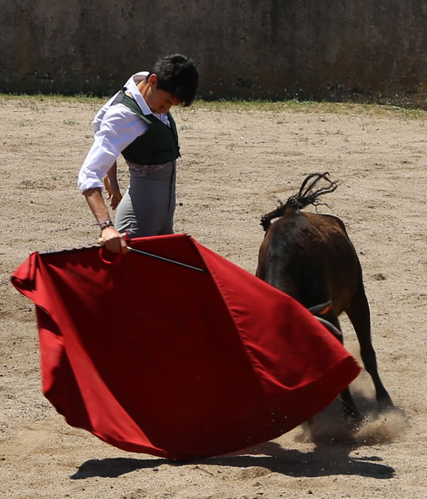 Fin de curso Fundación El Juli. 20 de junio de 2018