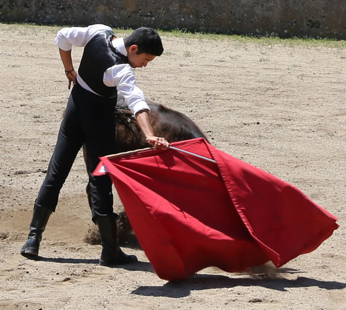 Fin de curso Fundación El Juli. 20 de junio de 2018