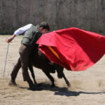 Fin de curso Fundación El Juli. 20 de junio de 2018