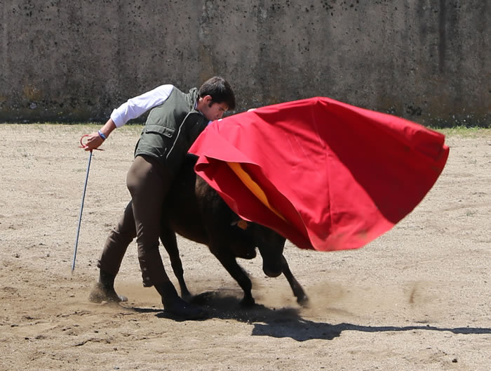 Fin de curso Fundación El Juli. 20 de junio de 2018