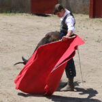 Fin de curso Fundación El Juli. 20 de junio de 2018