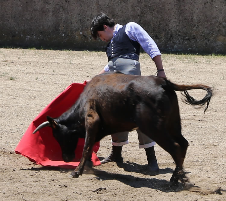 Fin de curso Fundación El Juli. 20 de junio de 2018