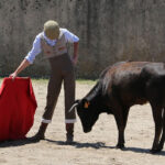 Fin de curso Fundación El Juli. 20 de junio de 2018