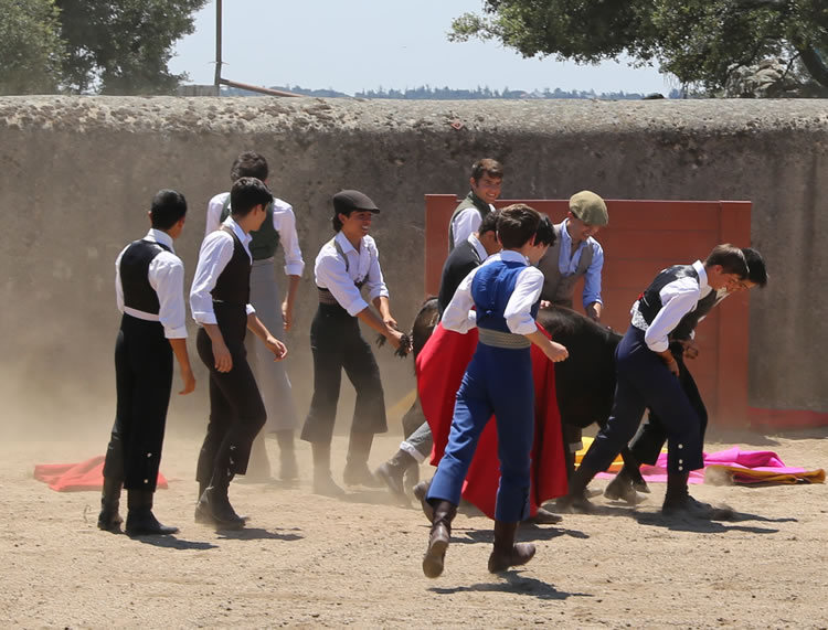 Fin de curso Fundación El Juli. 20 de junio de 2018