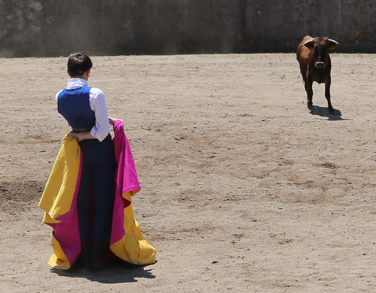 Fin de curso Fundación El Juli. 20 de junio de 2018