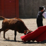 Fin de curso Fundación El Juli. 20 de junio de 2018