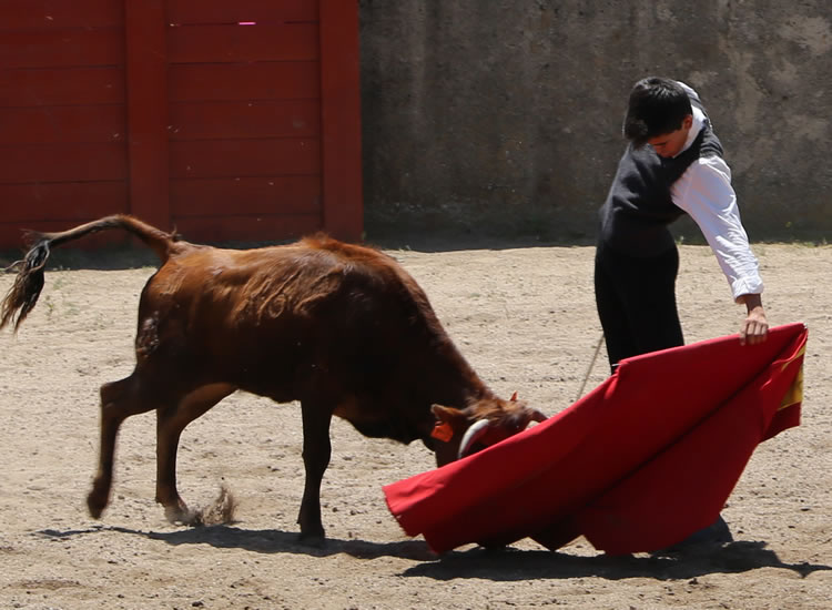 Fin de curso Fundación El Juli. 20 de junio de 2018