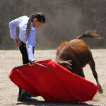 Fin de curso Fundación El Juli. 20 de junio de 2018