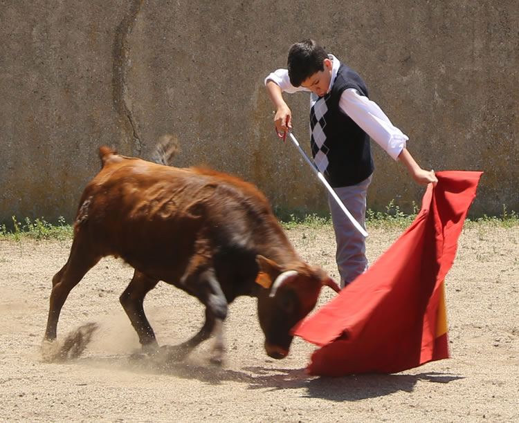 Fin de curso Fundación El Juli. 20 de junio de 2018