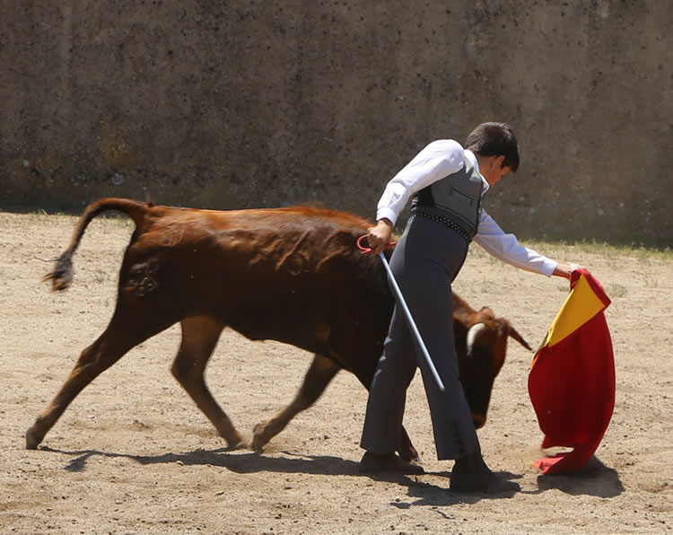 Fin de curso Fundación El Juli. 20 de junio de 2018