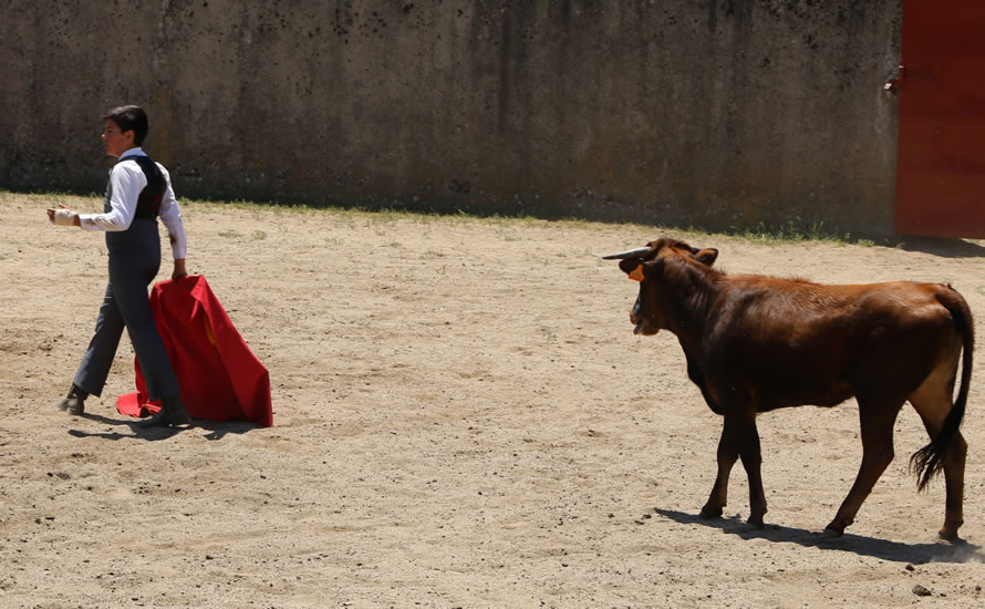 Fin de curso Fundación El Juli. 20 de junio de 2018
