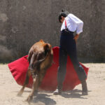 Fin de curso Fundación El Juli. 20 de junio de 2018