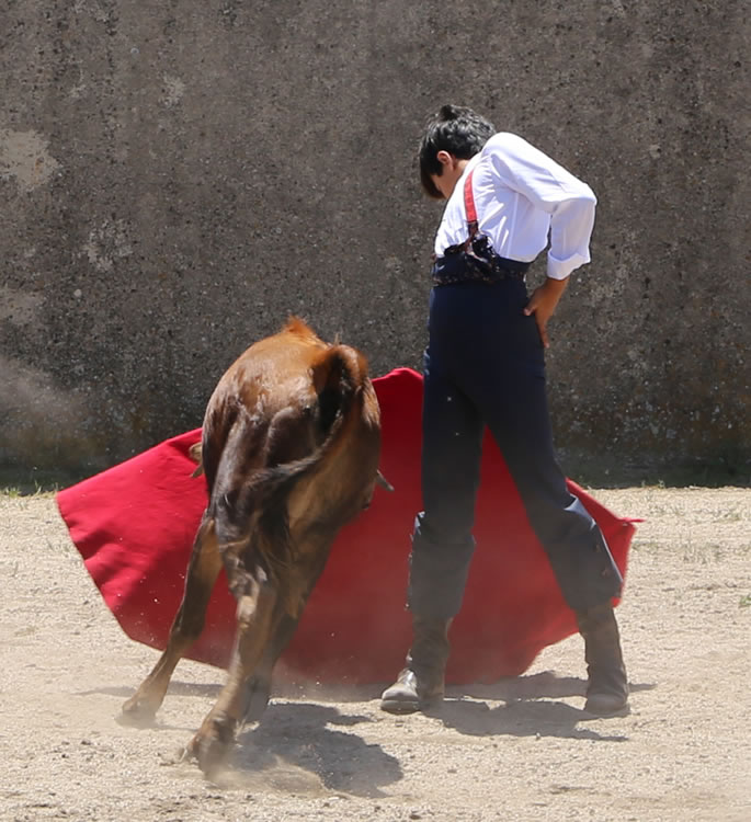 Fin de curso Fundación El Juli. 20 de junio de 2018