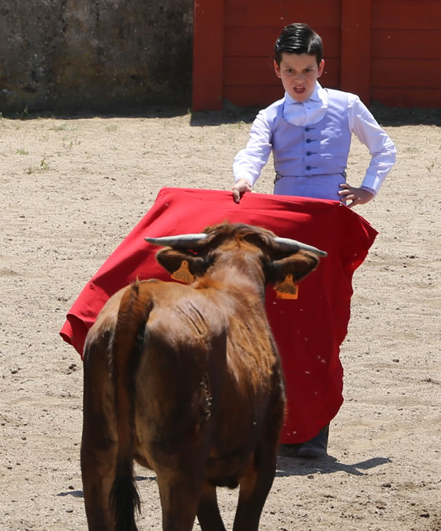 Fin de curso Fundación El Juli. 20 de junio de 2018