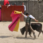 Fin de curso Fundación El Juli. 20 de junio de 2018