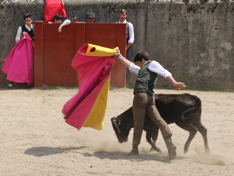 Fin de curso Fundación El Juli. 20 de junio de 2018