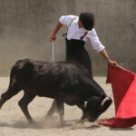 Fin de curso Fundación El Juli. 20 de junio de 2018