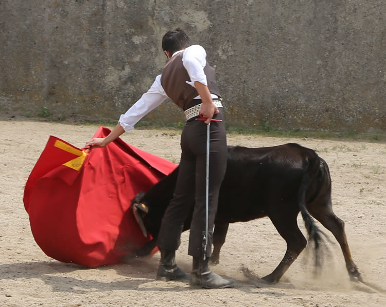 Fin de curso Fundación El Juli. 20 de junio de 2018