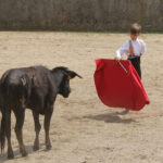 Fin de curso Fundación El Juli. 20 de junio de 2018