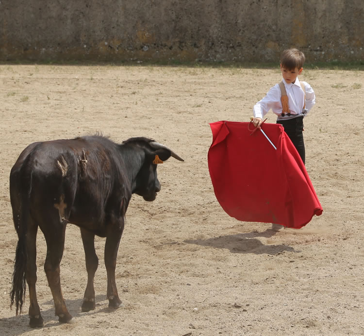 Fin de curso Fundación El Juli. 20 de junio de 2018
