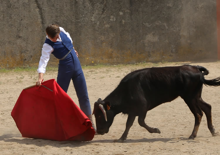 Fin de curso Fundación El Juli. 20 de junio de 2018