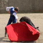 Fin de curso Fundación El Juli. 20 de junio de 2018