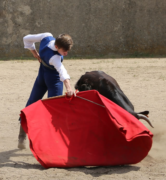 Fin de curso Fundación El Juli. 20 de junio de 2018
