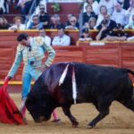 Sanlúcar de Barrameda, 3 de junio de 2018